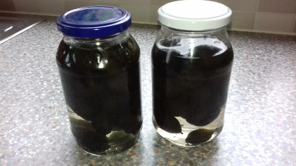 Lacto – Fermented Green Walnuts