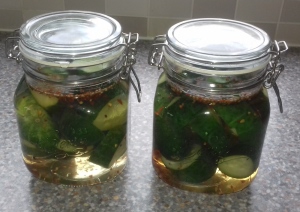 Lacto Fermented / Pickled Gherkin - Another classic?
