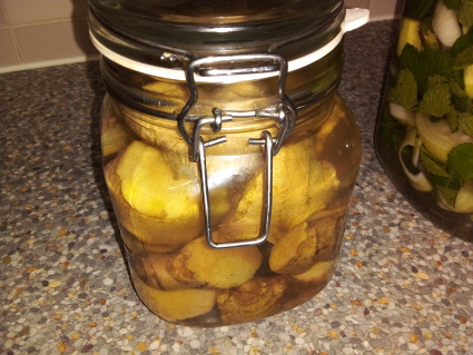Lacto-Fermented Ginger