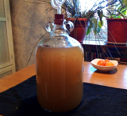 Metheglin brewing, eat well on universal credit