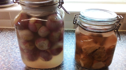 January Lock-Down Pickling